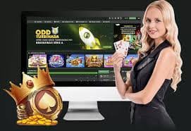 3333 win bet